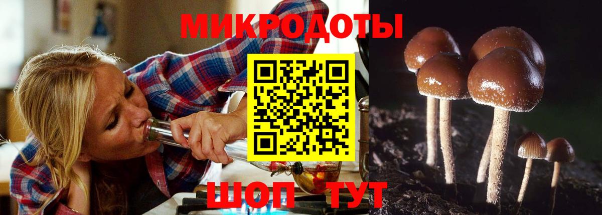 Галлюциногенные грибы Cubensis  Вход с VPN  Можга  Галлюциногенные грибы мицелий 